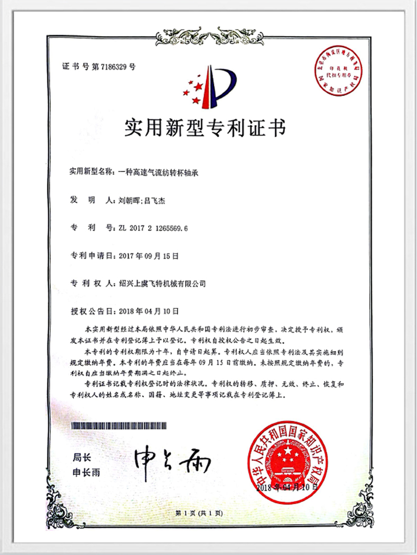Certificado de Patente Práctica